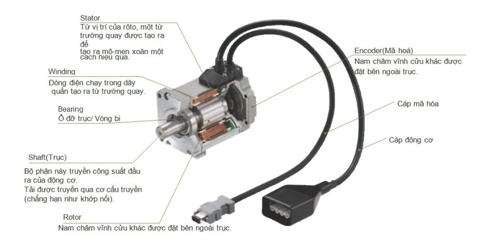cau tao dong co servo