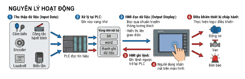 nguyen li hoat dong hmi